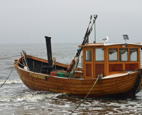 Sturmvogel, Usedom, Ostsee