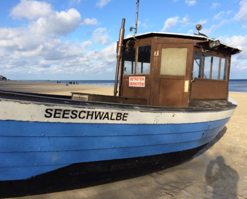 Seeschwalbe, Heringsdorf, Usedom, Ostsee